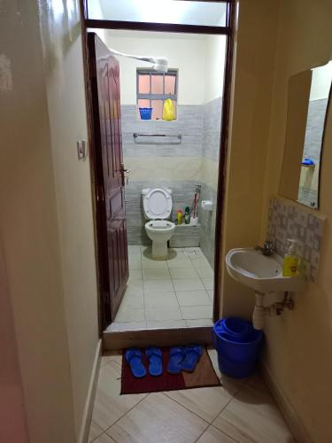 Hossanah Furnished one bedroom in Kasarani Nairobi