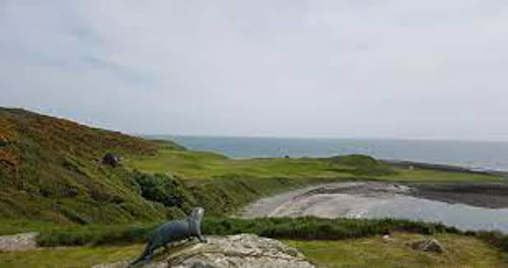 Immaculate 2 Bed Static Caravan at Monrieth in Newton Stewart, United Kingdom