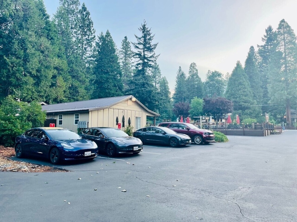 Shasta Inn - photo 19