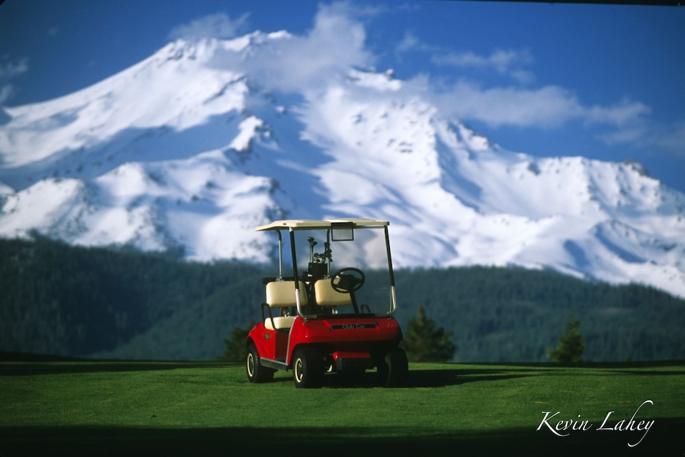 Mount Shasta Resort - photo 53