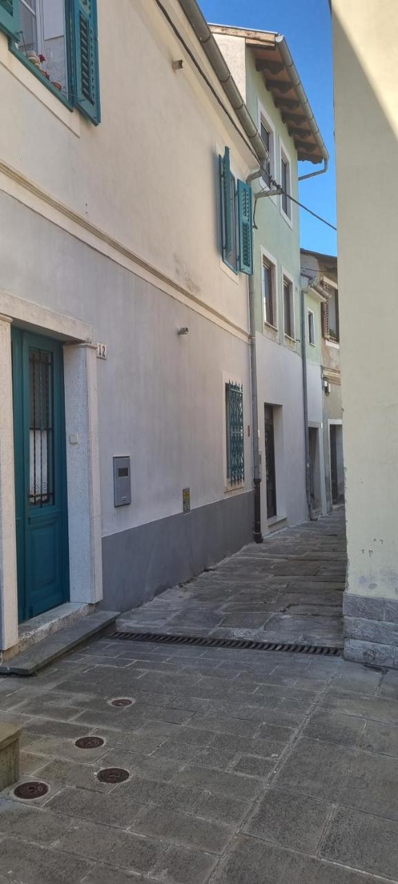 Apartma Galeb — Piran — photo 2