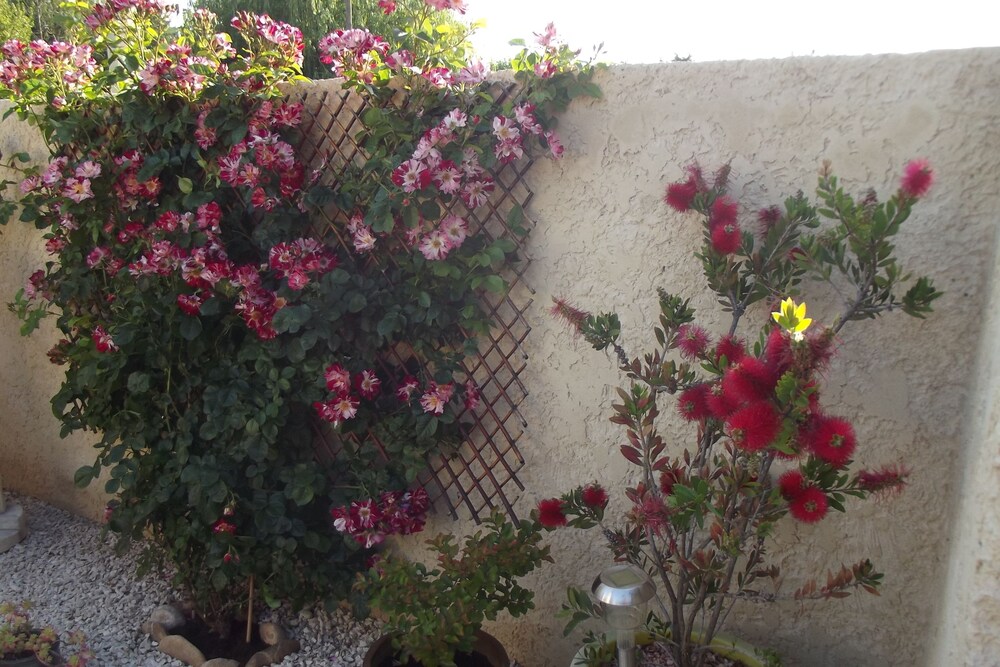 Mas De La Coucourde — hotel in Noves