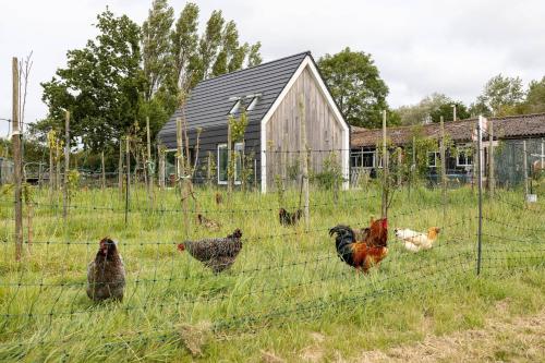 Hello Zeeland Vakantiewoning Kalfhoeksepad 8 — hotel in Aagtekerke