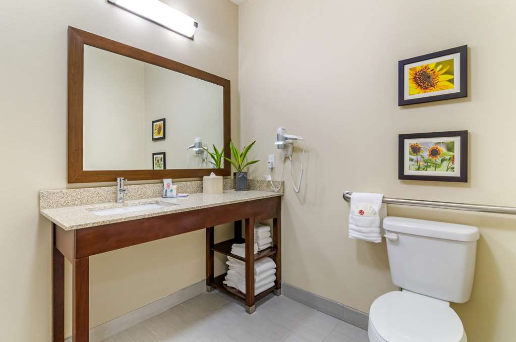 Comfort Inn & Suites Salina North - photo 8