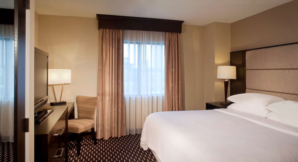 Embassy Suites by Hilton Houston Near the Galleria - photo 16
