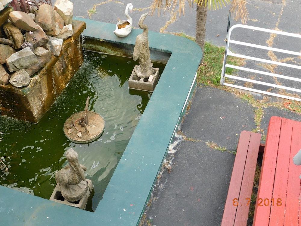 Little Shamrock Motel - photo 40