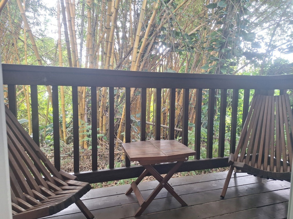 Wild Ginger Hotel - photo 24