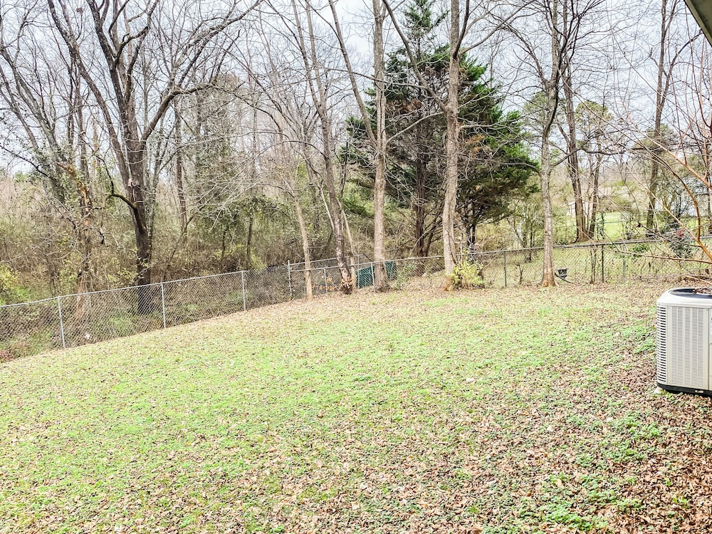 Boswell Bliss - photo 30