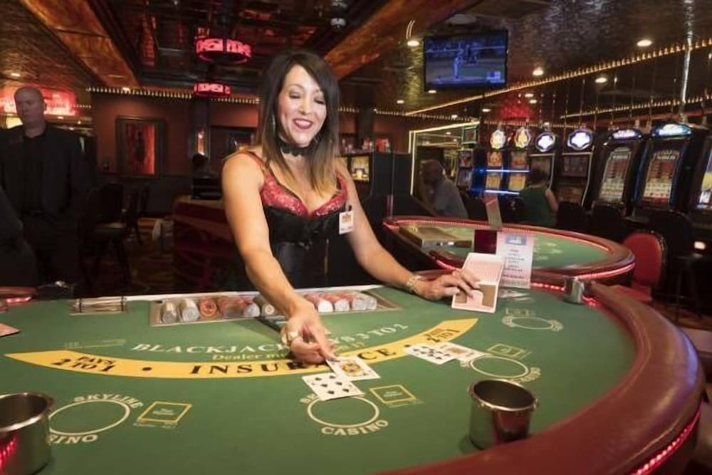 Skyline Hotel & Casino - photo 26