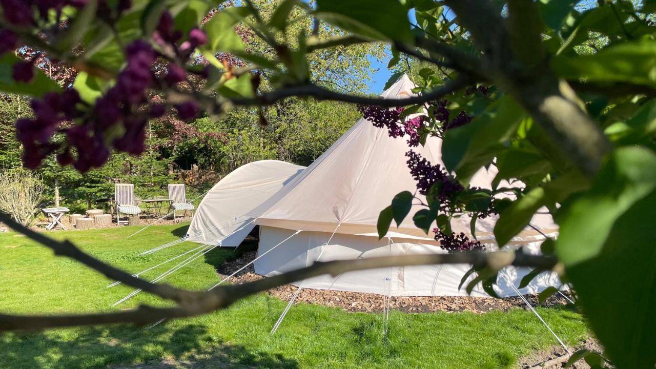 Cozy Garden Glamping in Svendborg, Denmark