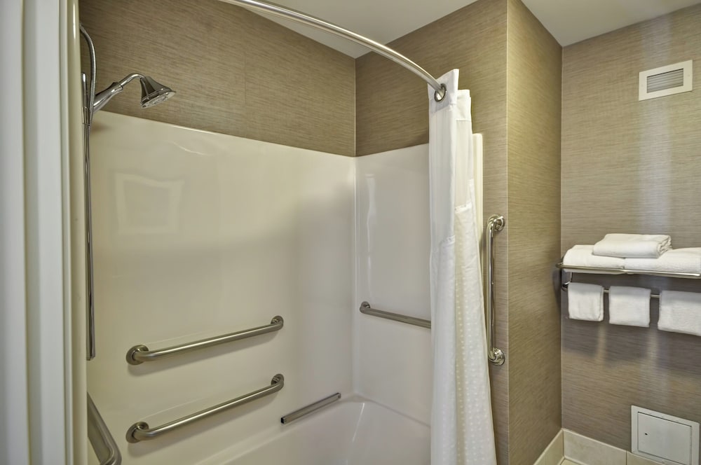 Holiday Inn Express Romulus Detroit Airport - photo 19