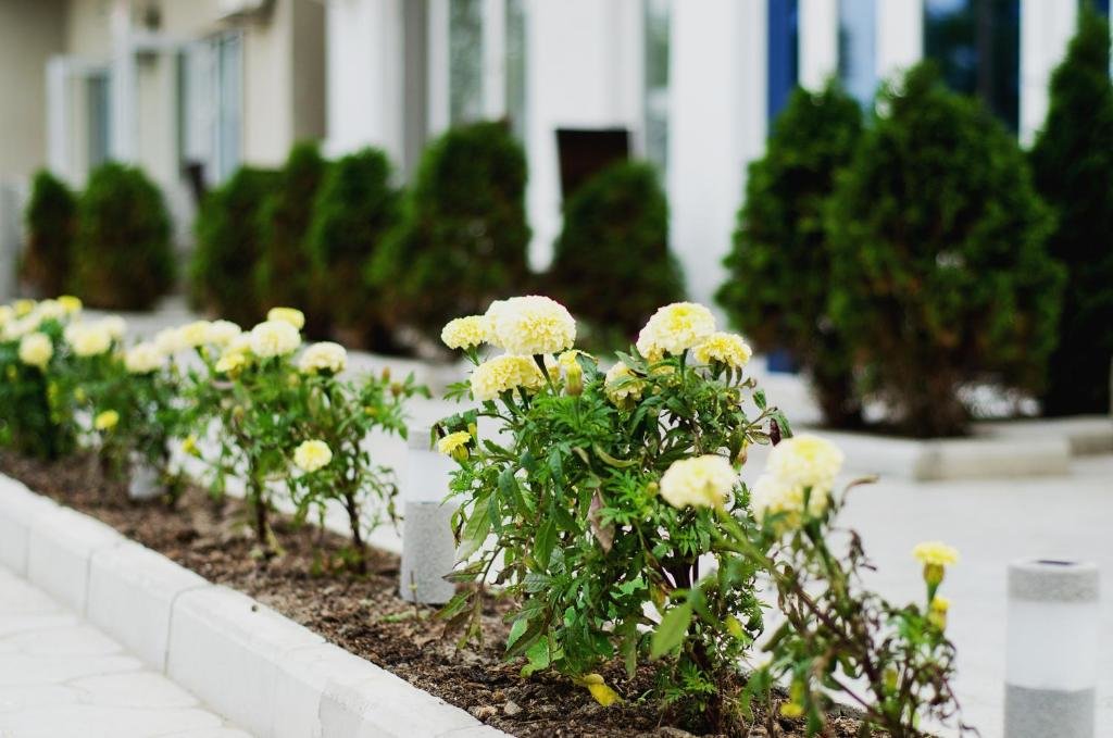 Vip Hotel - carbon neutral hotel in Kyiv