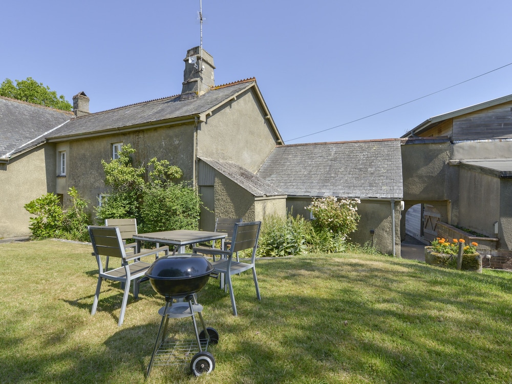 Apple Blossom in Newton Abbot, United Kingdom