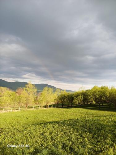 La tataie Nucșoara — Nucsoara — photo 3