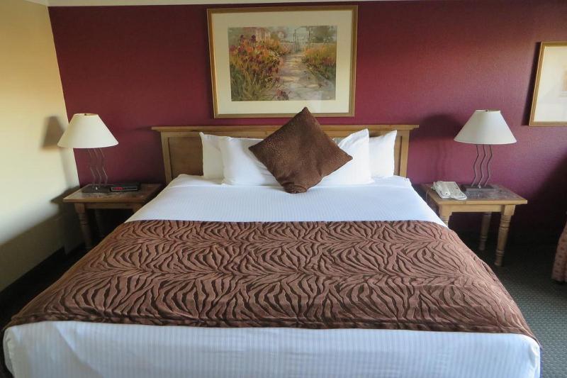 Atrium Hotel at Orange County Airport - photo 19