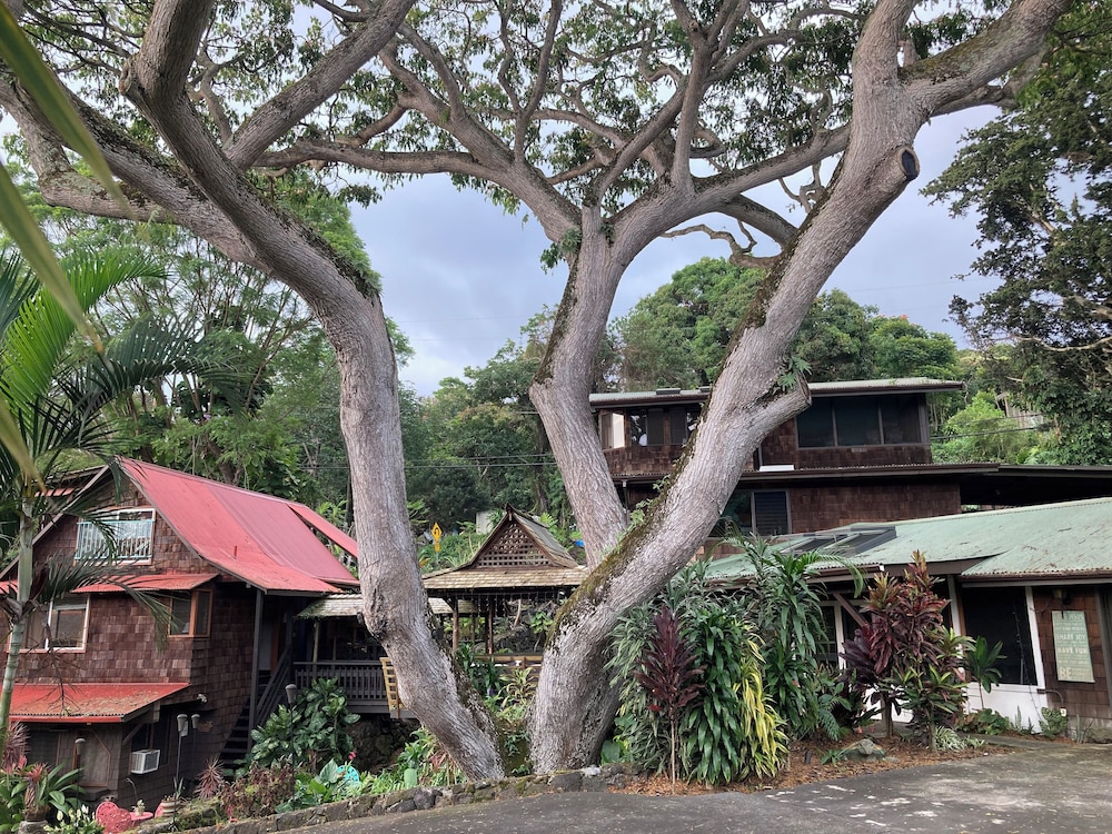 Hale Maluhia Country Inn - photo 2