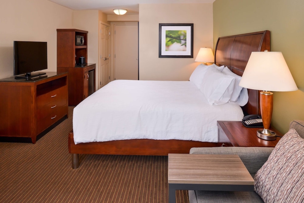 Hilton Garden Inn Baltimore White Marsh - photo 19