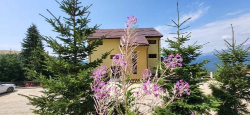 Pension Valea Mariei — 4-Star Luxury Hotel in Baia De Fier, Romania