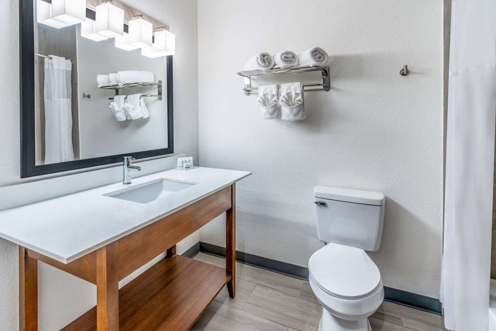 Baymont by Wyndham Carlsbad NM - photo 23