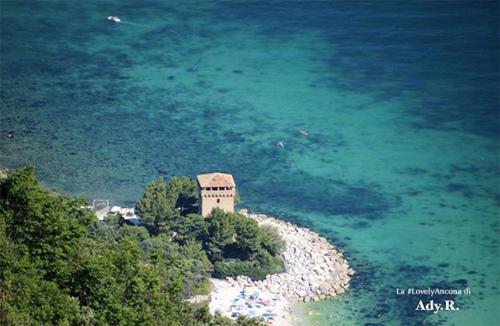 Casetta tra gli ulivi — Ancona — photo 2