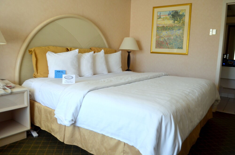 Chapel Hill University Inn - photo 18