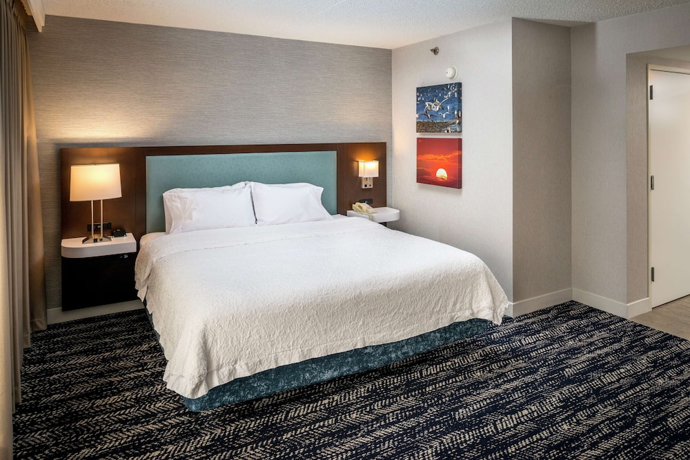 Hampton Inn Long Island Commack - photo 9