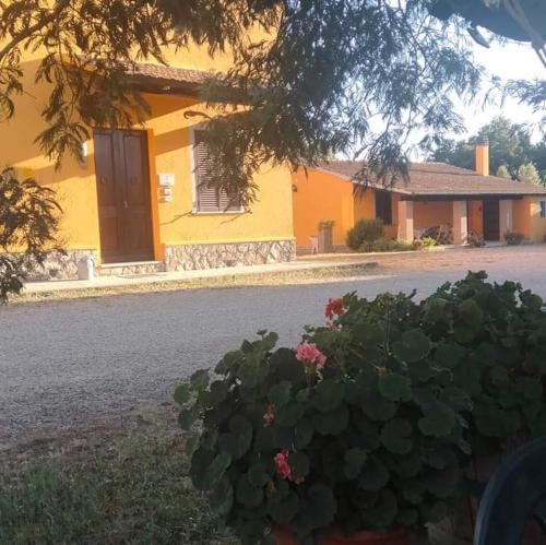 Appartamento Da Marco — Magliano In Toscana