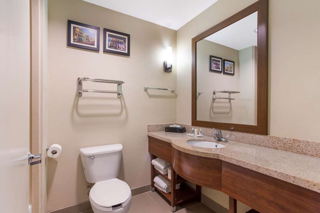 Comfort Suites Saraland North Mobile - photo 6