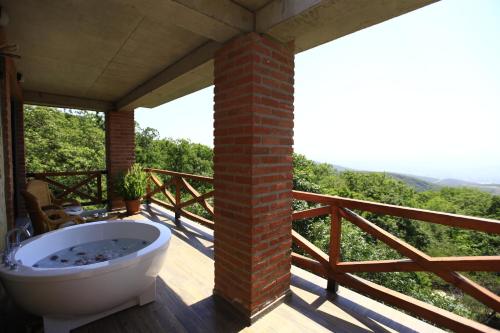 Villa Vejini