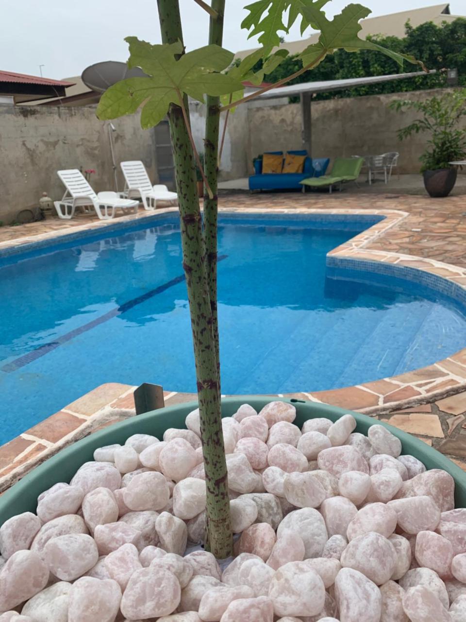 Kasentof in Cayenne, French Guiana