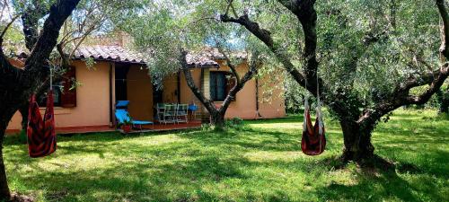 All’ombra Degli Olivi in Unknown City, Italy