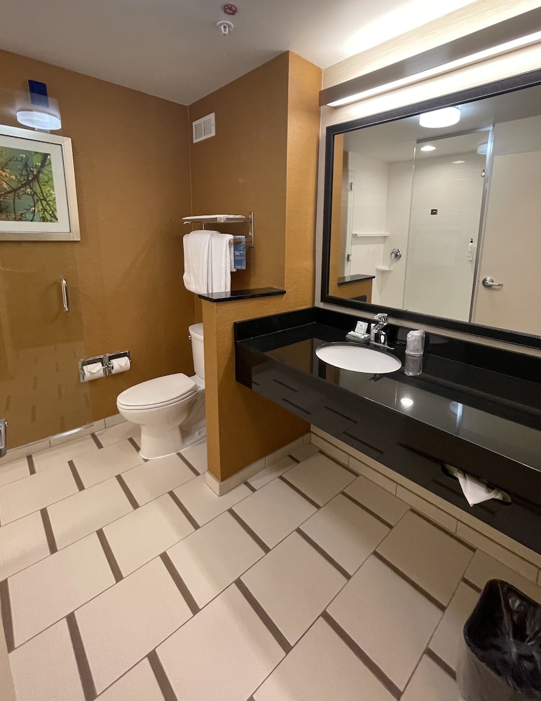 Fairfield Inn & Suites Athens - photo 17