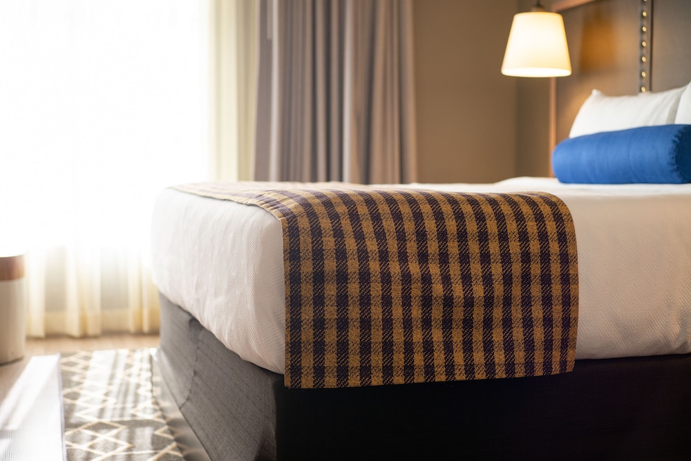 Hotel Indigo Hattiesburg by IHG - photo 18