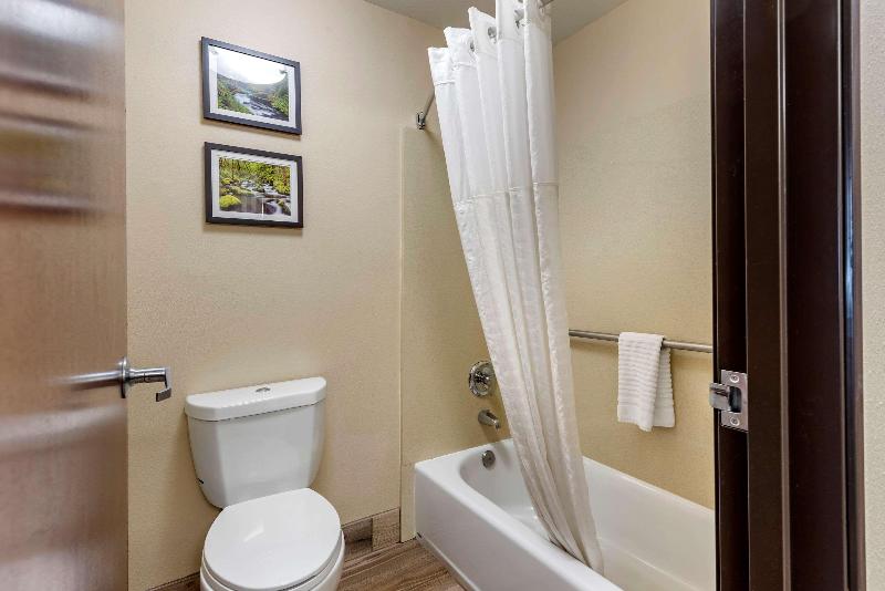 Comfort Inn Portland near I 84 and I 205 - photo 42
