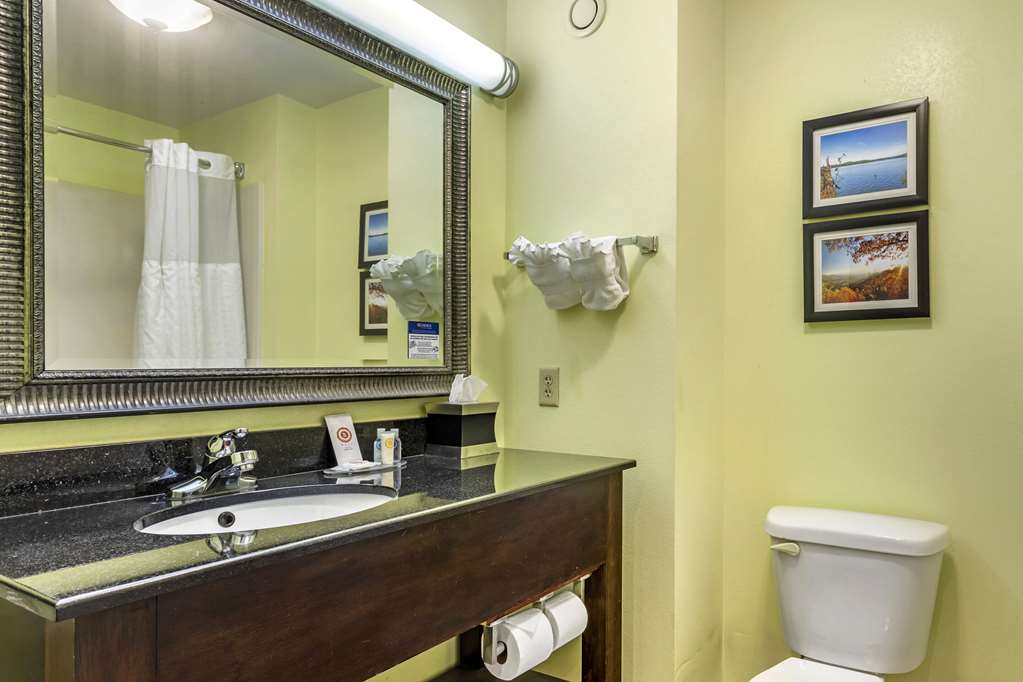 Comfort Inn Athens - photo 16