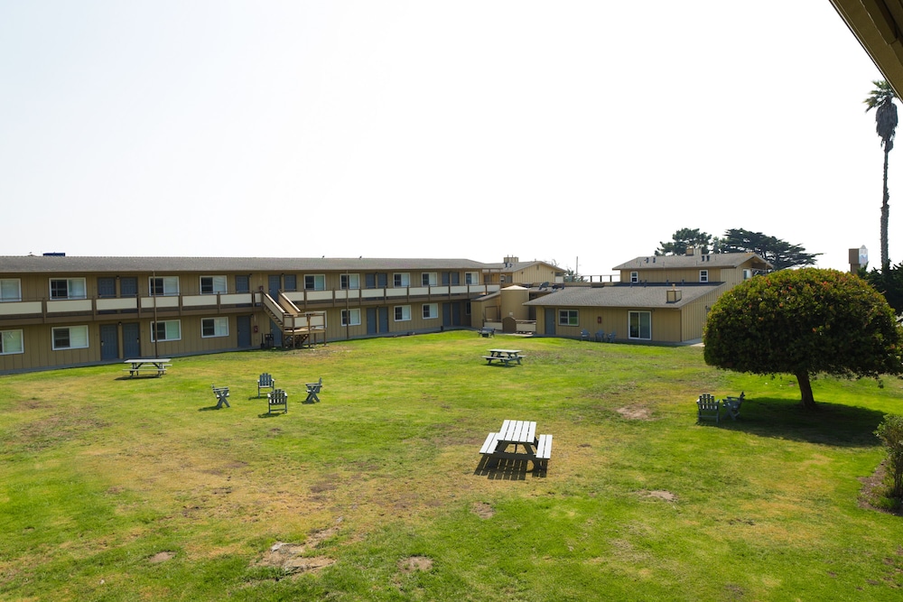 Silver Surf Motel - photo 123