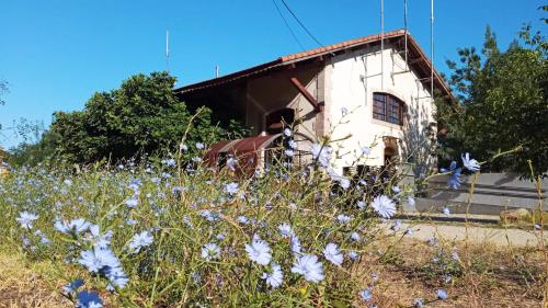 Via De La Plata Hervas — Hervas