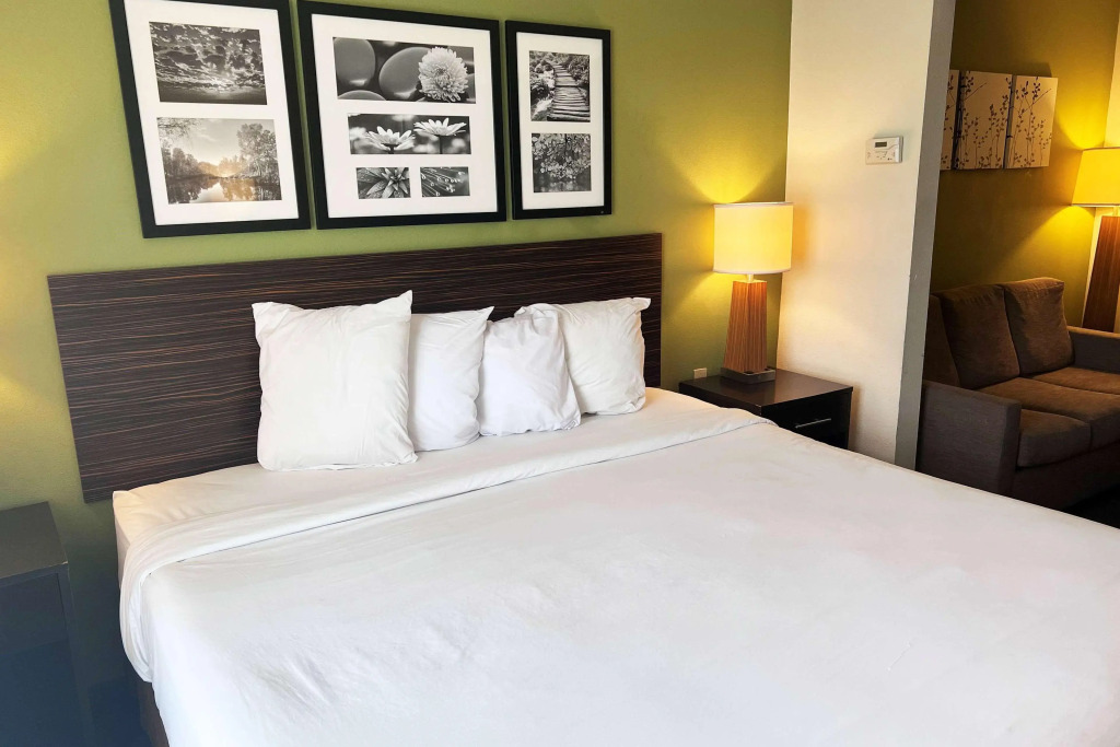 Ramada by Wyndham Jackson MS - photo 12