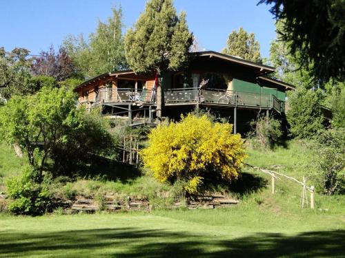 Abedules in Unknown City, Argentina