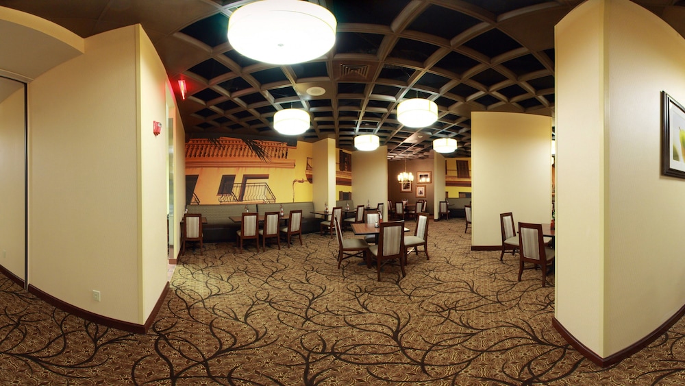 Embassy Suites by Hilton Savannah Airport - photo 43