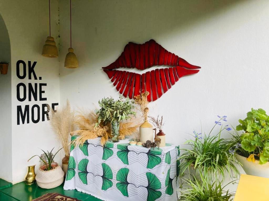 Rhoom in Burgersdorp, South Africa