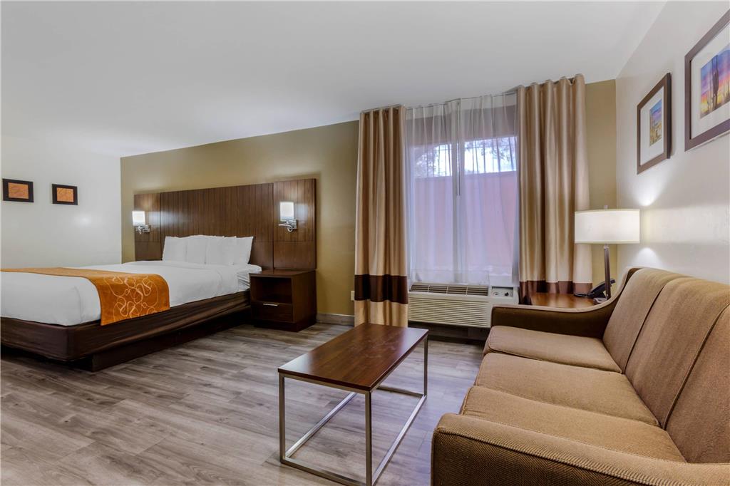 Comfort Suites Tucson near Sabino Canyon - photo 18
