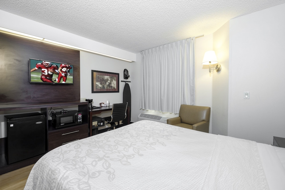 Red Roof Inn Plus Palm Coast - photo 15