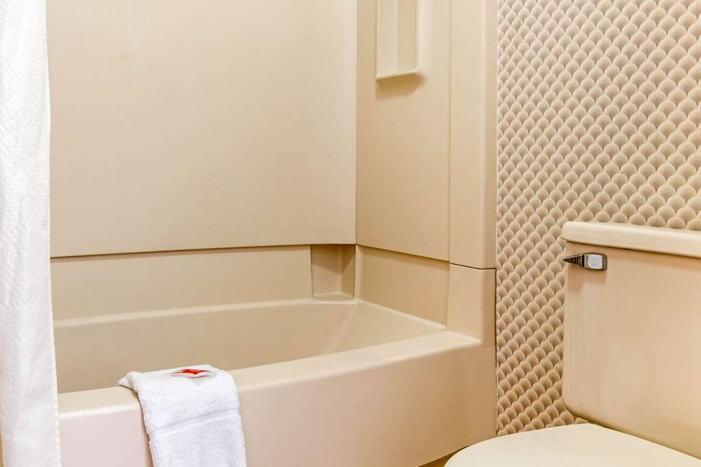 Econo Lodge Holland Toledo - photo 29