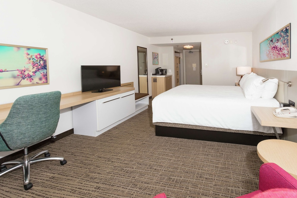 Hilton Garden Inn St. Augustine Beach - photo 26