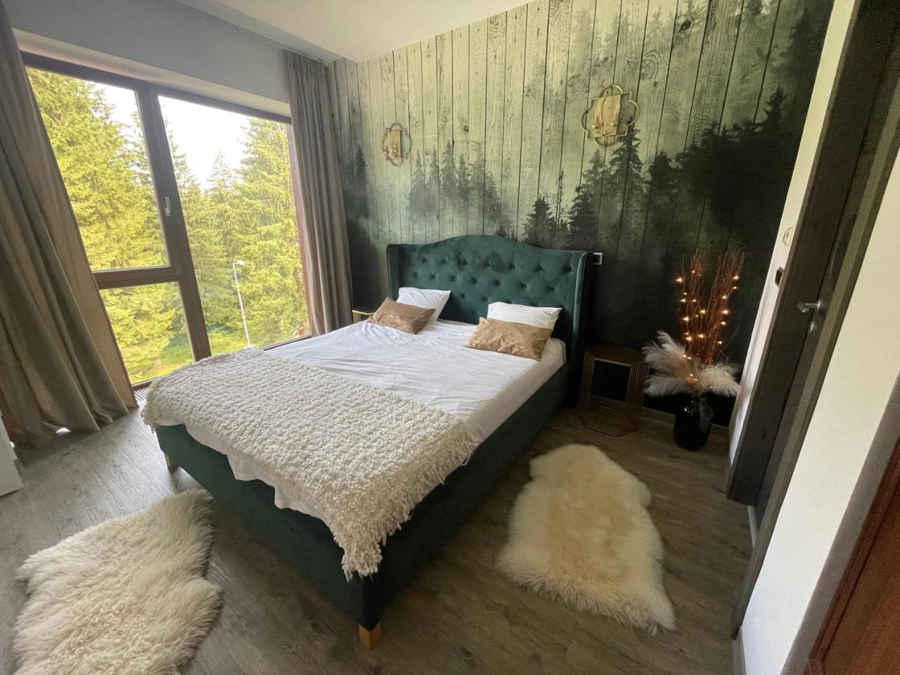 Luxury Silver Mountain Apartment — 4-Star Luxury Hotel in Brasov, Romania