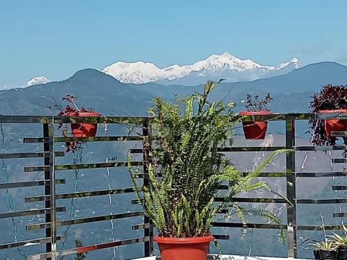 Blue Bell — Kalimpong — photo 5