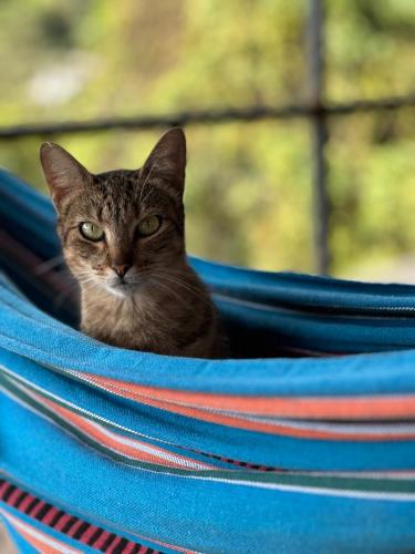 Jaragual EcoHotel in La Vega, Colombia