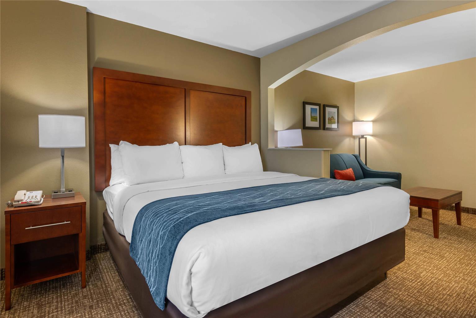 Comfort Inn Ocala Silver Springs - photo 14