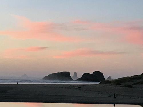 Webb's Scenic Surf - photo 14